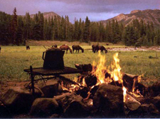 USA-Wyoming-Grand Teton Wilderness Ride